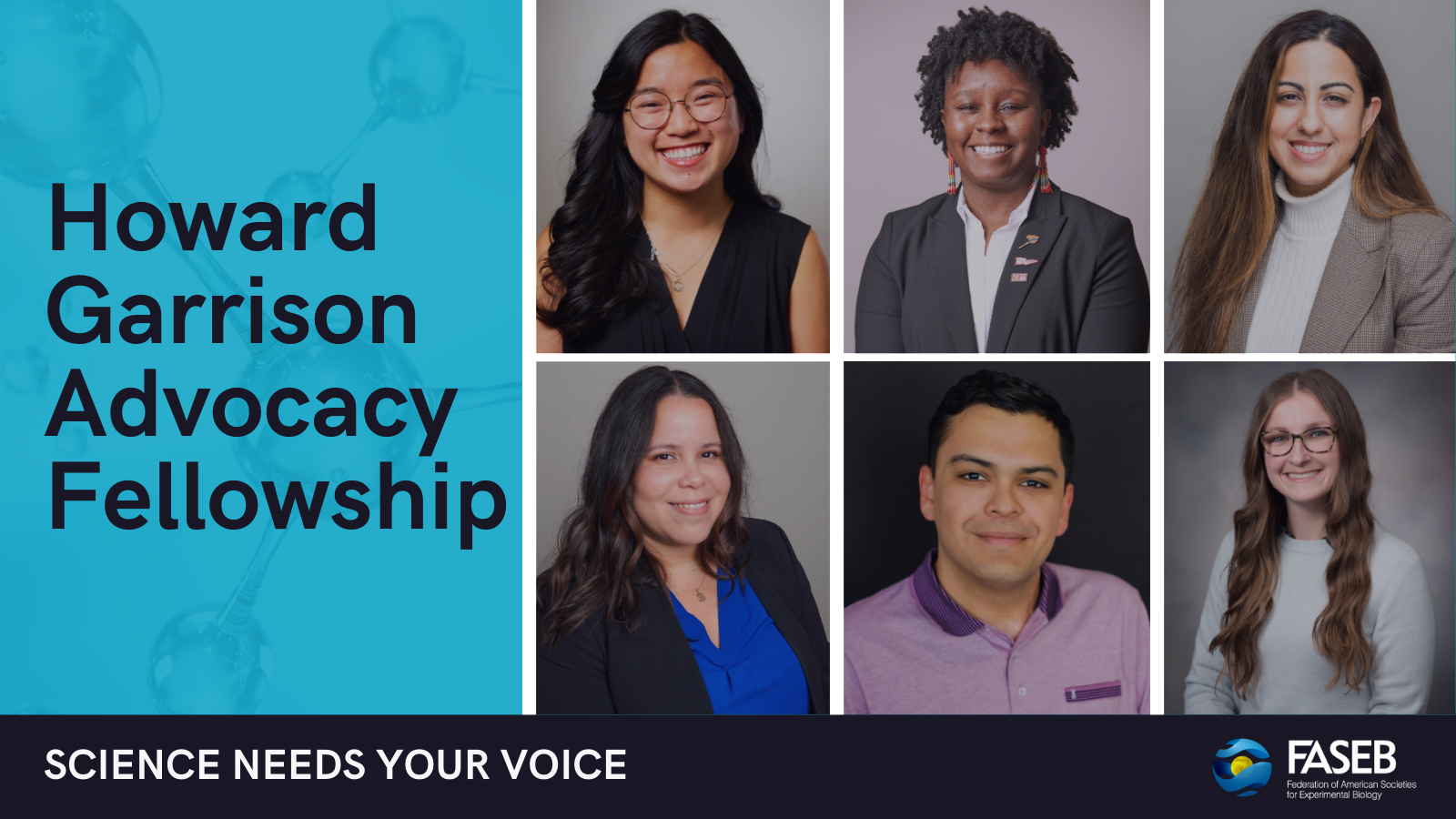 Howard Garrison Advocacy Fellowship