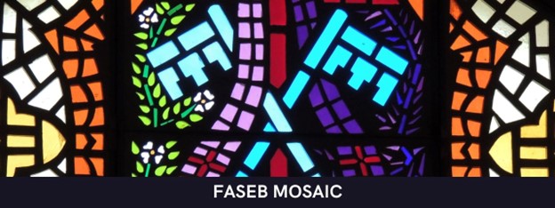 FASEB MOSAIC 2024