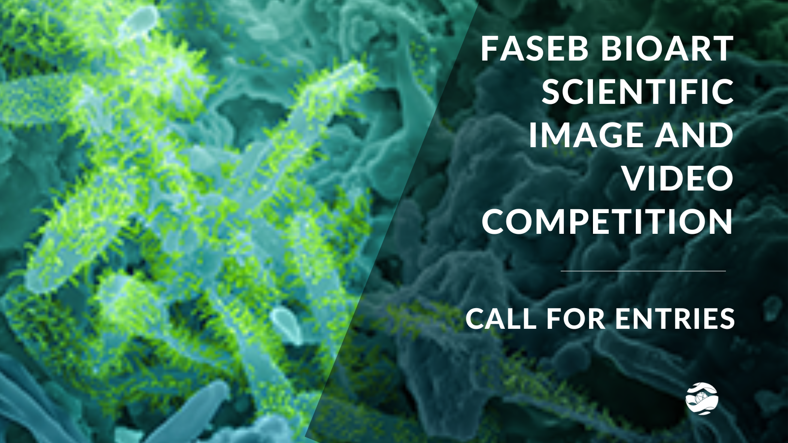 2022 FASEB BioArt Award